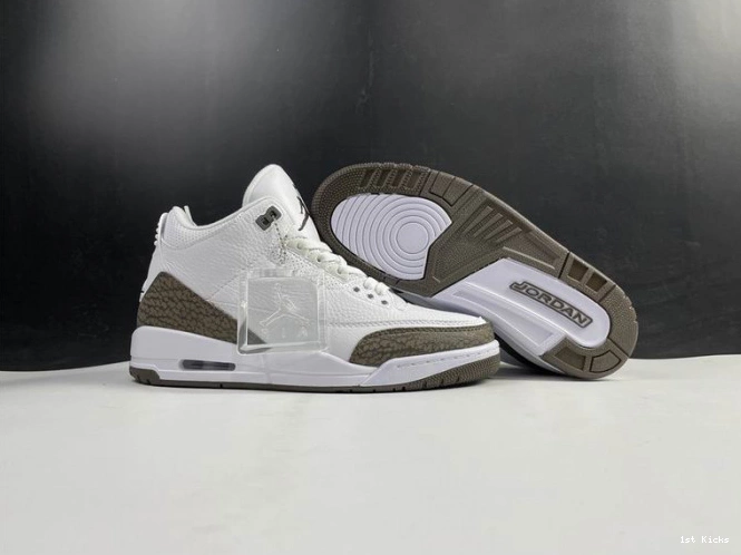 Jordan (2018) Mocha Retro 3 136064-122 Air 0711